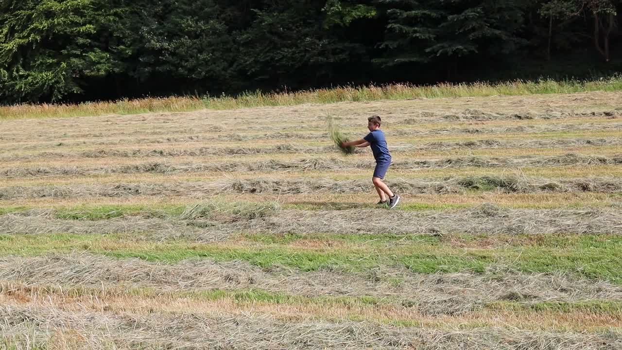 Young boy throwing grass, hay into the air in a freshly cut field