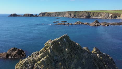 aerial orbit view of rocky outcrop with a seagull on top, clear blue water with sun reflecting along the south coast of ireland