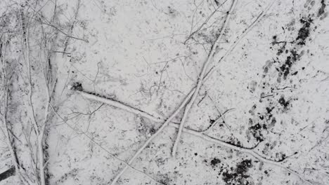 aerial top down of snow covered wooden branches and footsteps in forest during winter