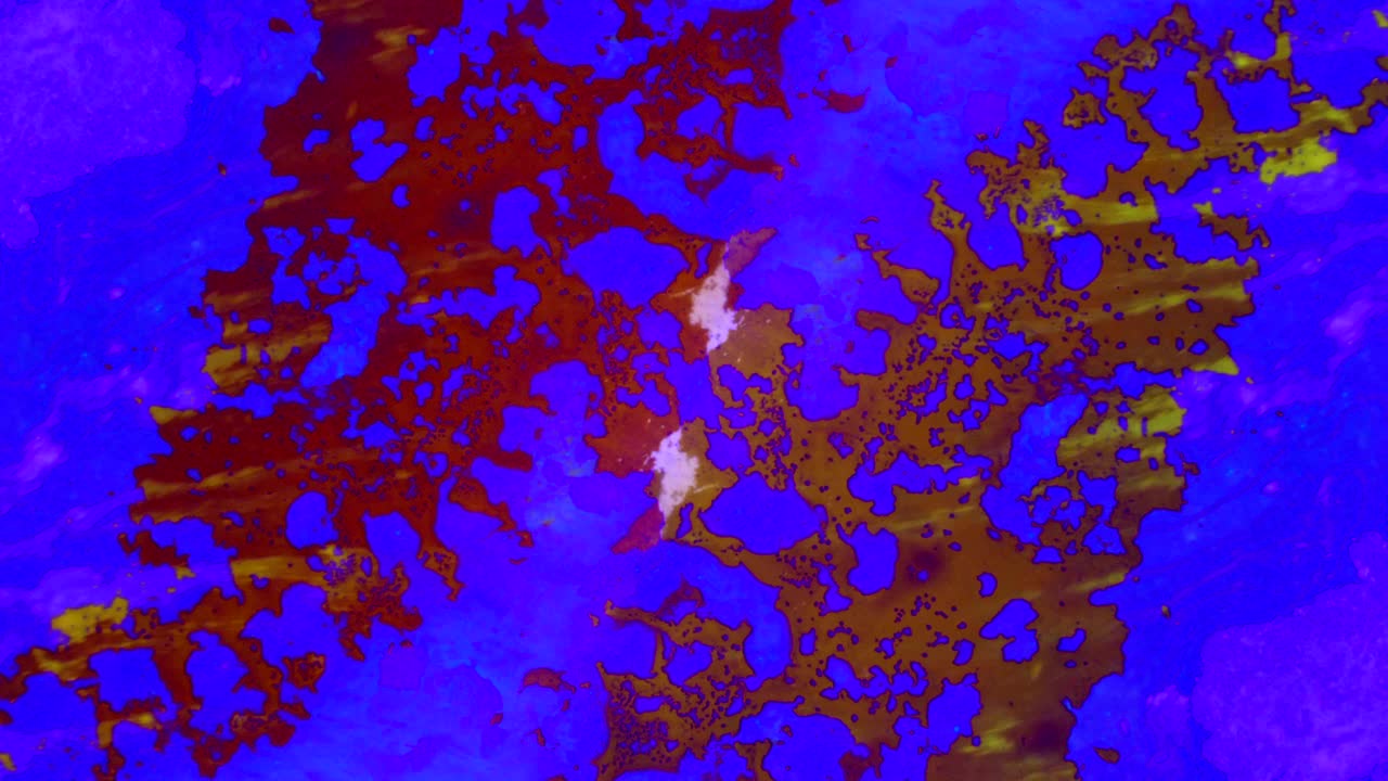 el rizado de las pinturas