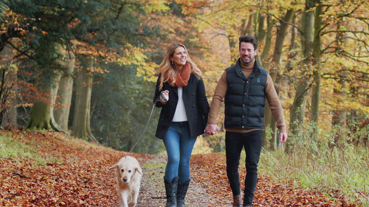 pareja feliz tomando perro para pasear a lo largo del camino en el campo de otoño juntos