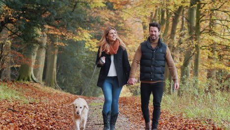 Una-Pareja-Feliz-Tomando-Un-Perro-Para-Caminar-Juntos-Por-El-Camino-En-El-Campo-De-Otoño