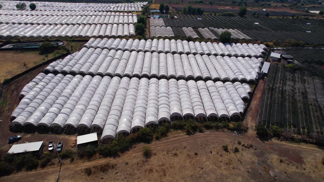 aerial left pan unveils the vast berry ranch located in Michoac&aacute;n Mexico