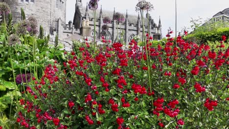 rise past colorful flowers and greenery to establish dublin castle ireland on overcast day