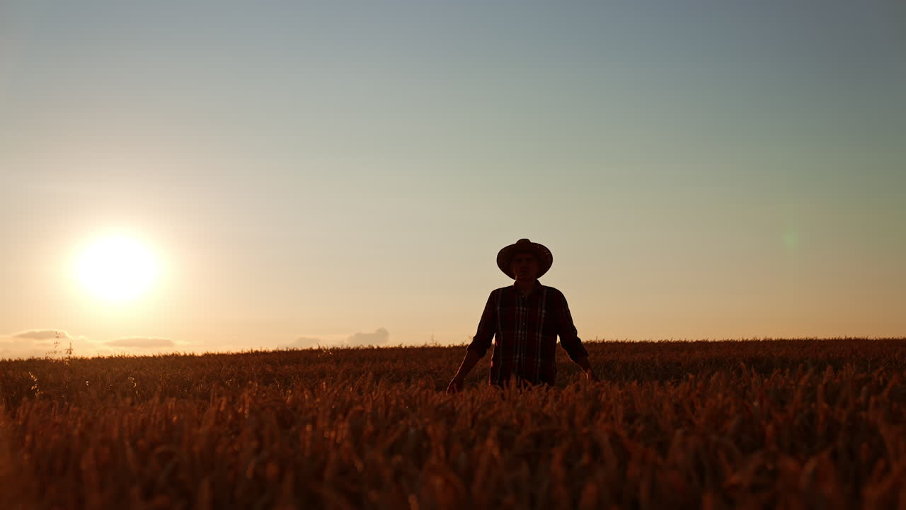 Man in a hat approaching camera. Farmer walks through the ripe ears of wheat in the farmland.