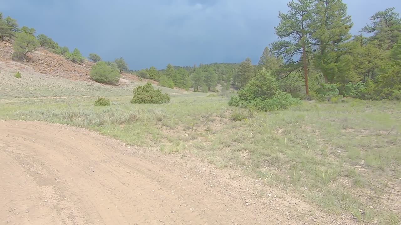 콜로라도의 록키 산맥에 있는 초원을 통해 좁은 흙길에서 모든 지형 차량을 운전하는 pov