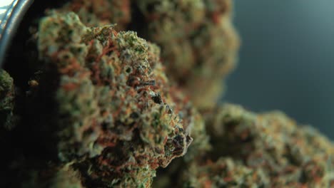 A-vertical-macro-cinematic-detailed-shot-of-a-cannabis-plant,-orange-hybrid-strains,-Indica-and-sativa-,-green-marijuana-flower,-on-a-360-rotating-stand,-slow-motion,-4K-,-studio-lighting