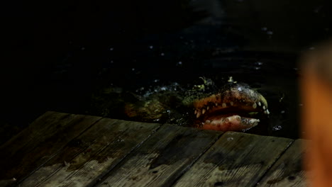 a scary alligator climbing up on a dock - horror movie monster