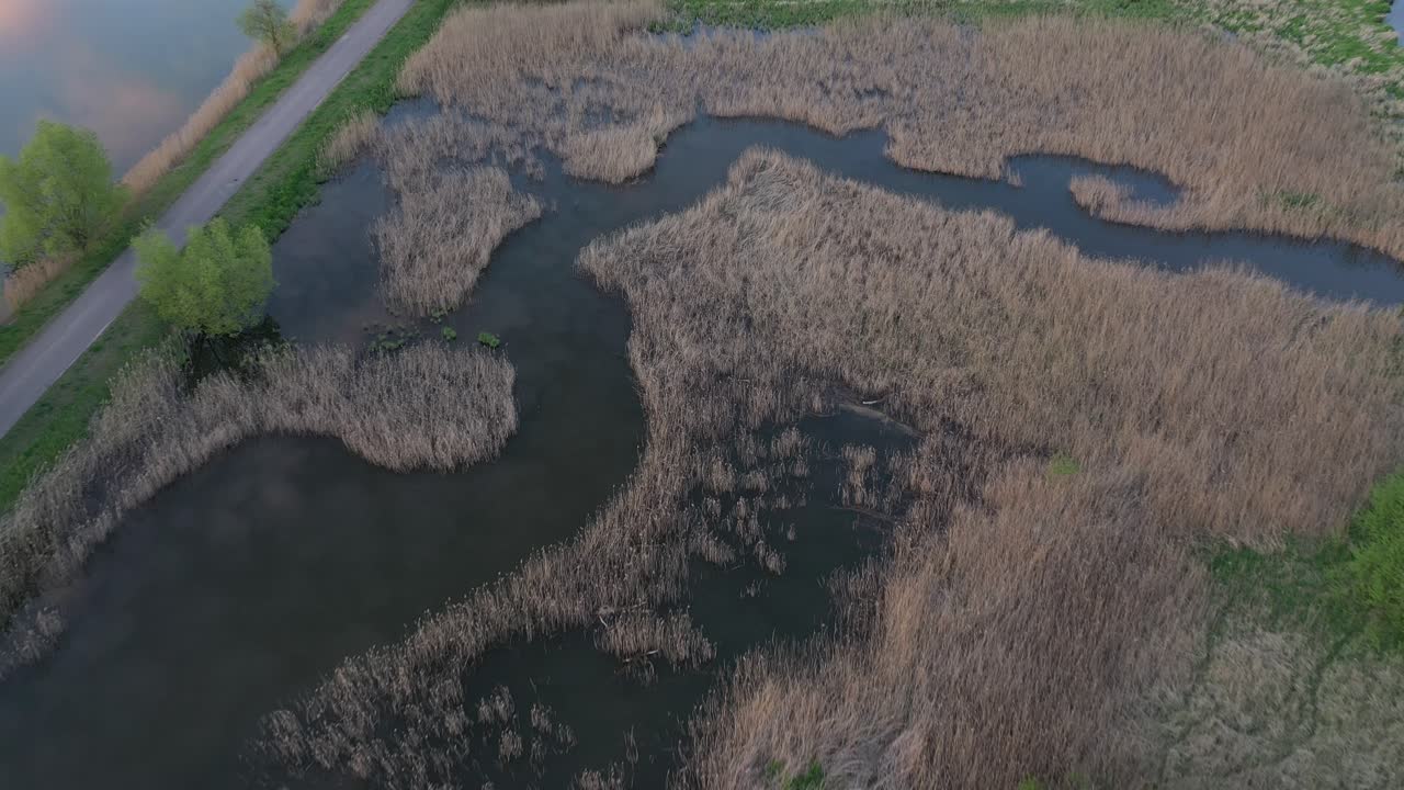 Swamp in Kaunas county, Lithuania. Drone aerial view