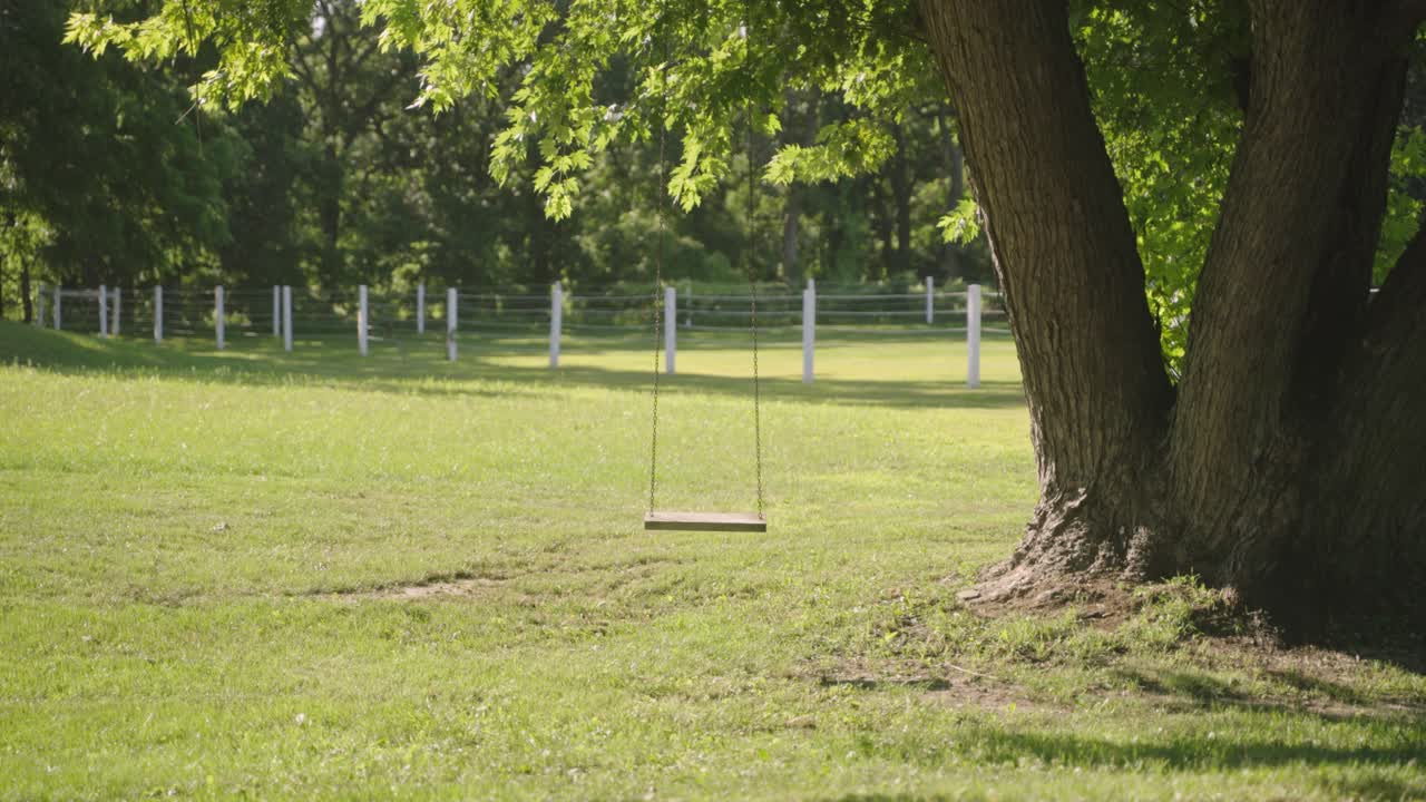 Profile view of tree swing under large tree during daytime.