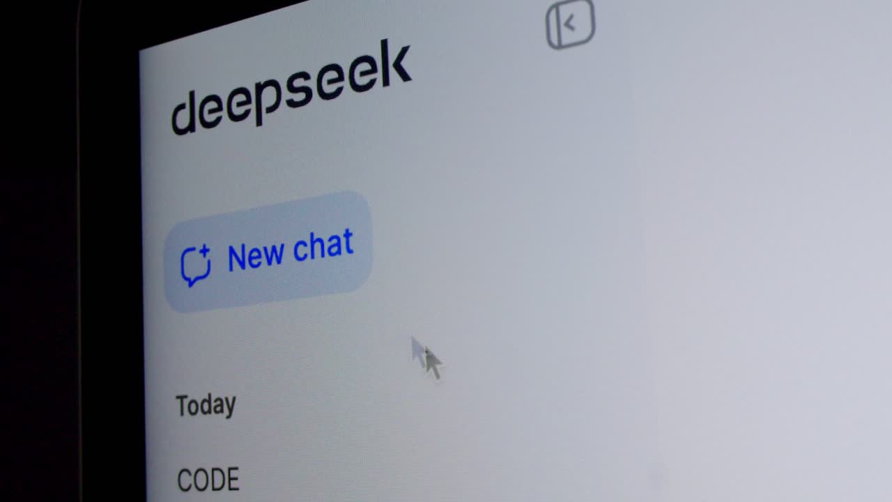 새로운 채팅 버튼과 함께 deepseek 응용 프로그램 인터페이스