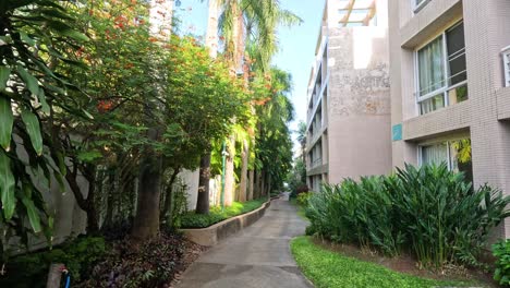 a peaceful walkway flanked by lush greenery and buildings