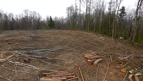 POV-of-desolated-land-after-cutting-down-trees-in-forests,-Poland