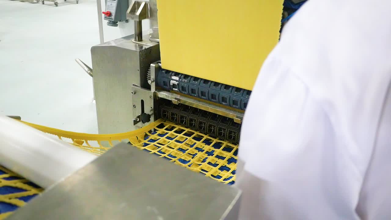 many types of high quality pasta been produced at a large modern pasta factory