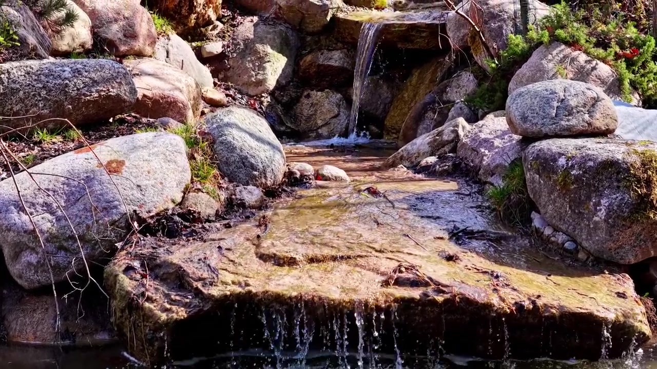 Small stream flows over rocks into a pond surrounded by greenery in daylight