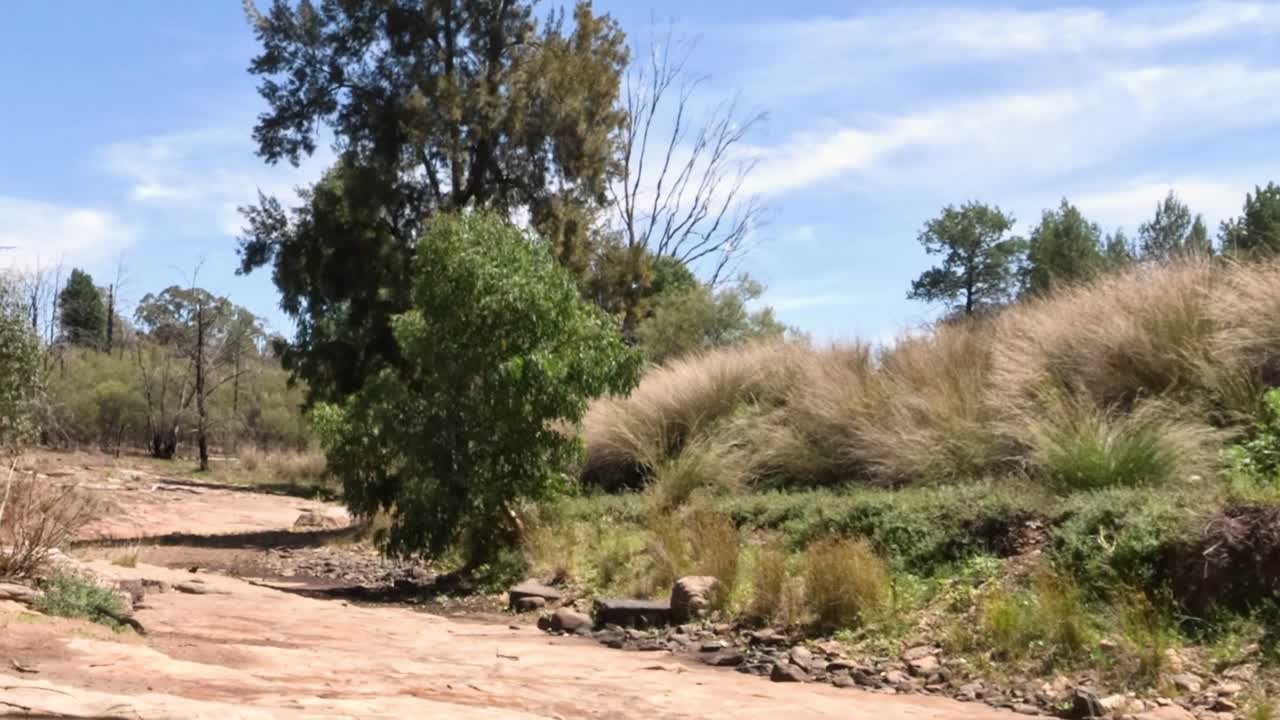 el agua retrocede revelando un paisaje rocoso del lecho del río