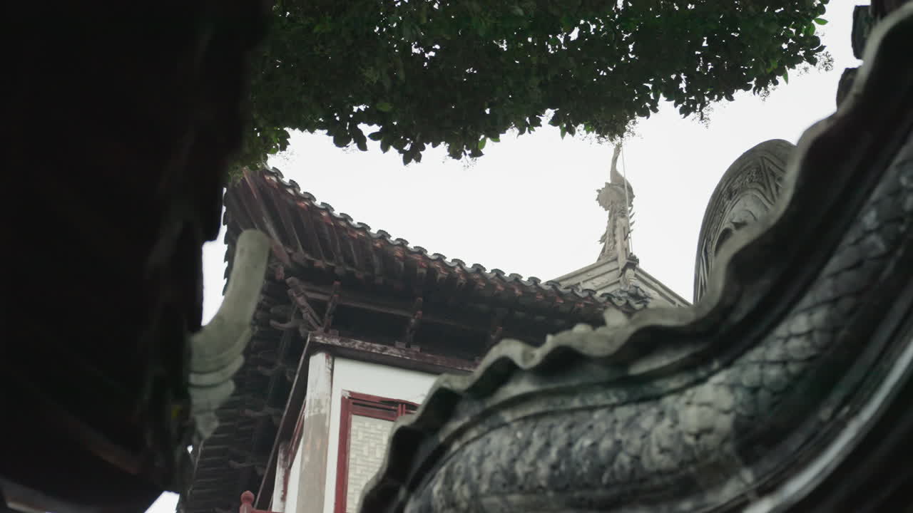 Tetto di tempio sontuoso sotto la chioma di un albero, gronde ricurve e silhouette di pinnacolo contro un cielo coperto, primo piano di tegole grigie invecchiate, cornice texturizzata, pietra muschiosa e nicchie in ombra che creano un'atmosfera tranquilla