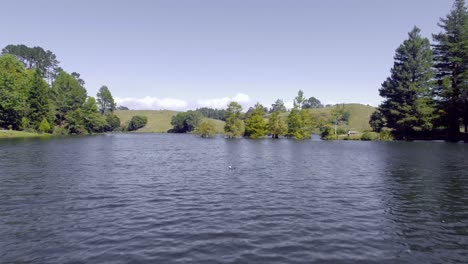 flying past tree above scenic lake with hills in distance in new zealand