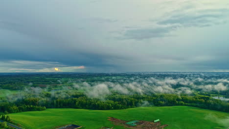 Drohnenaufnahme-Eines-Atemberaubenden-Waldfeldes-Mit-Tief-Hängenden-Wolken-Und-Einem-Bewölkten-Himmel