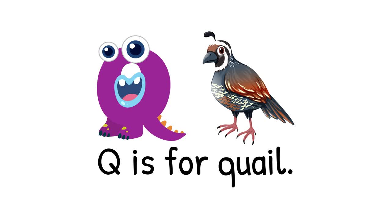 Playful animation of a purple character and a quail illustrating the letter Q with vibrant colors and simple transitions