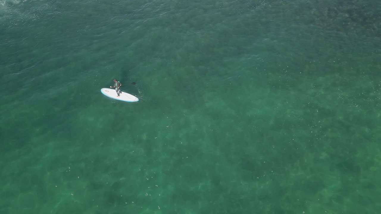 Aerial: Stand up paddleboard paddles through shallow green ocean water