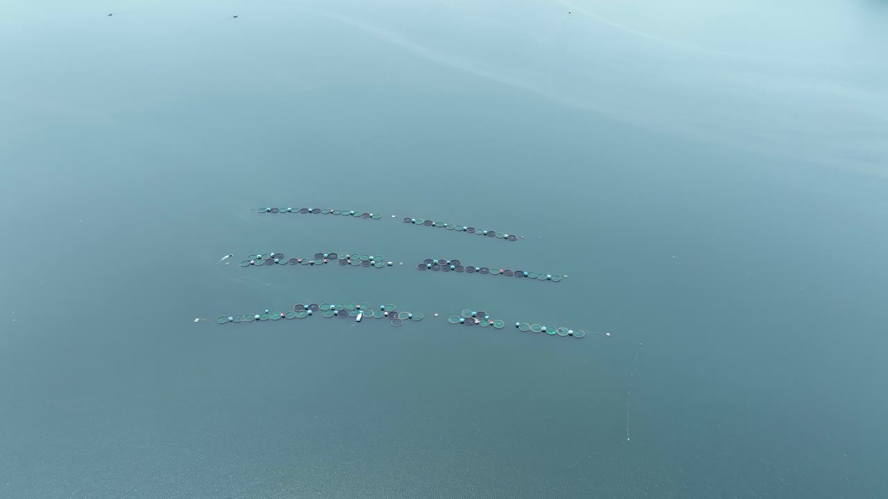 인도네시아 어업, 상업적 목적으로 물고기를 잡는 떠다니는 케이지