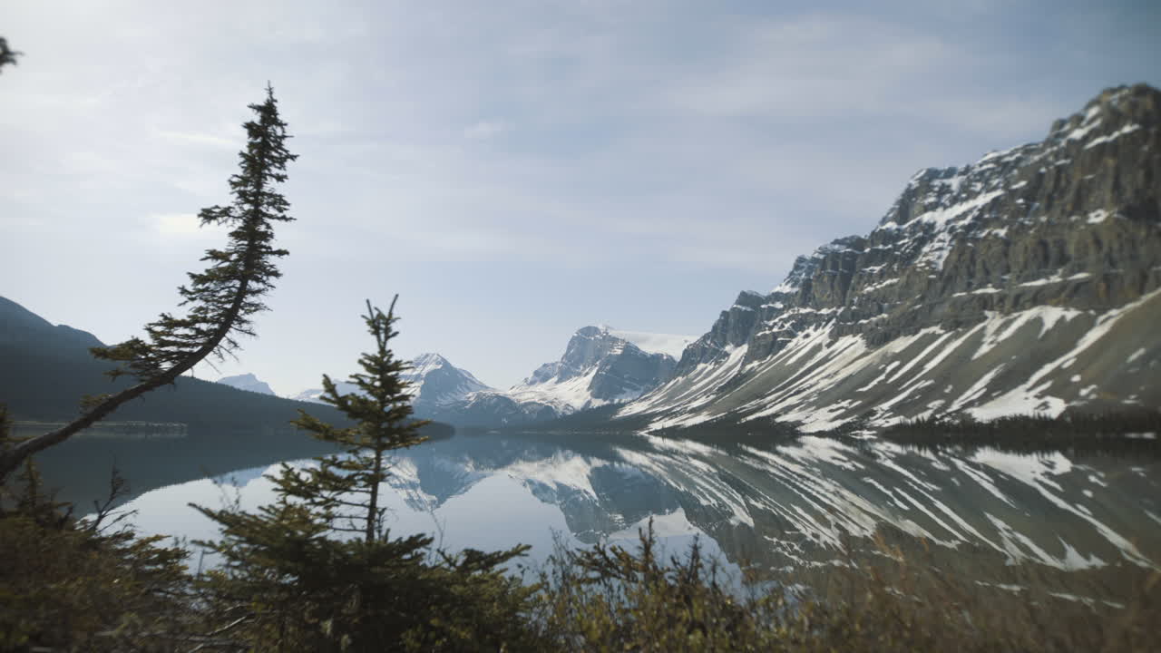 4k bow lake, banff, alberta - árboles en primer plano - reflejos de espejo de las montañas en el fondo - muñeca a la derecha, tiro en movimiento
