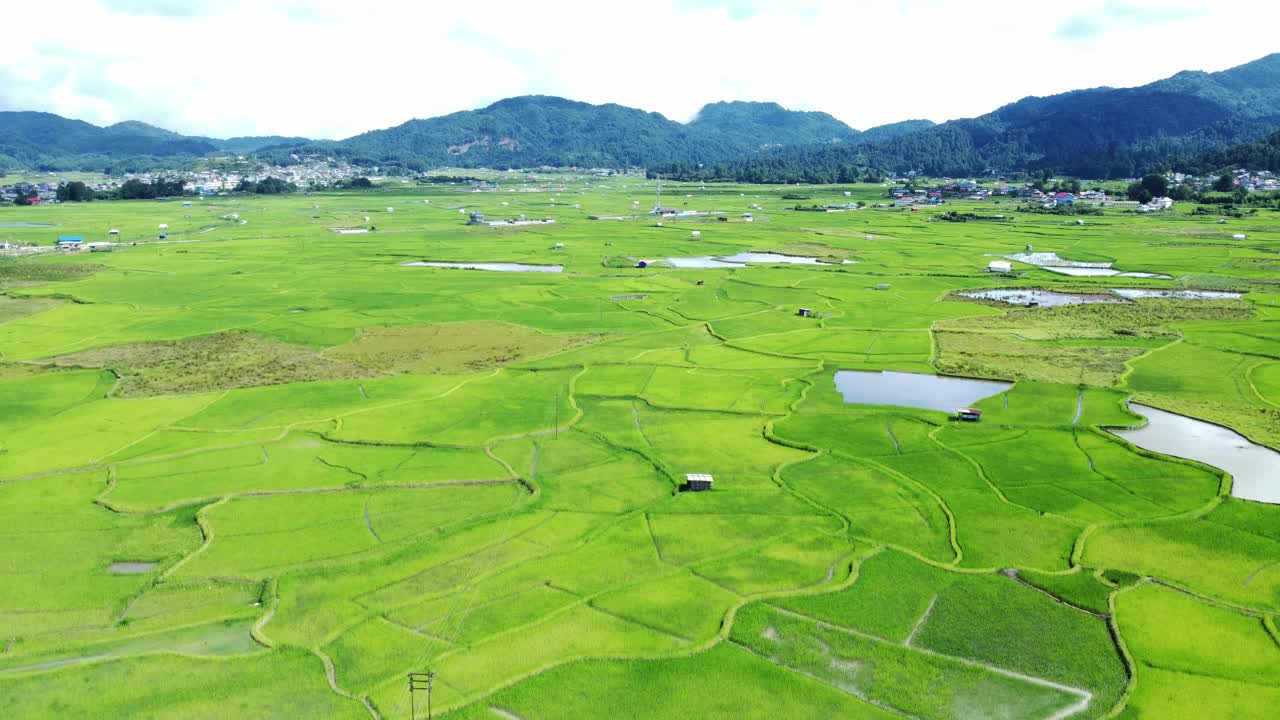 vista aérea de un campo de arroz en arunachal pradesh