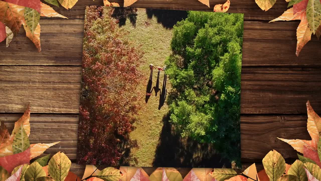 4k 테이블에 공원과 메이플 잎을  ⁇ 는 가족