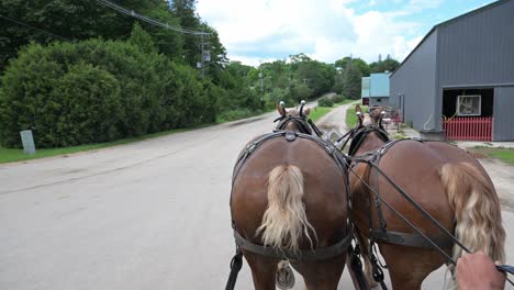 Caballo-Caminando-Ansiosamente-Por-Su-Casa-Estable-En-La-Isla-Mackinac-En-Verano-En-La-Isla-De-Michigan