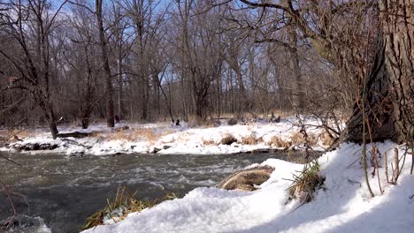 Waldrauschender-Fluss-Im-Winterschnee,-Dolly-Aufnahme