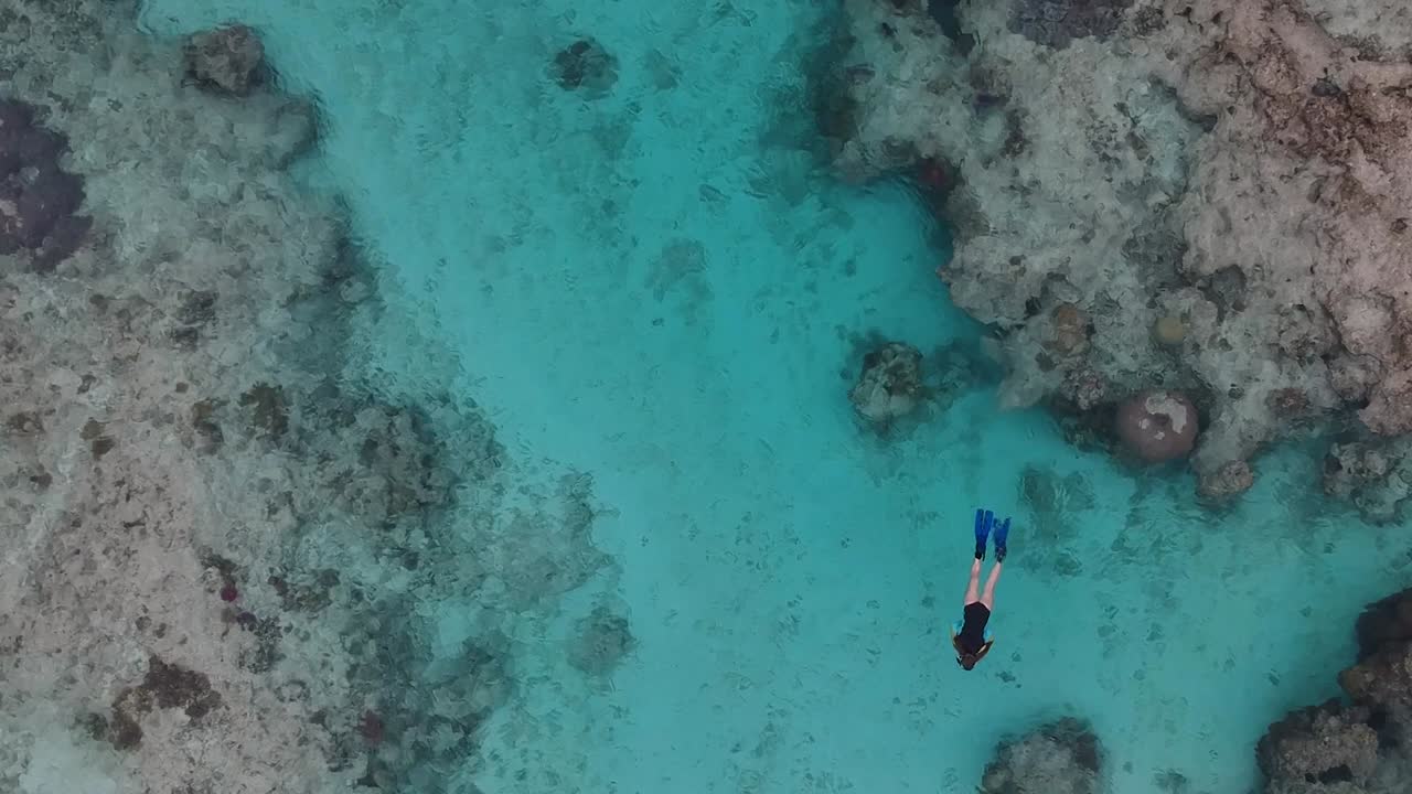 스노클링을 하면서 열대 산호초를 탐험하는 소녀의 공중 비디오