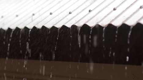 lluvia derramando el techo de estaño ondulado durante la tormenta