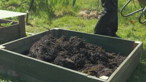 filling raised garden bed with soil from wheelbarrow