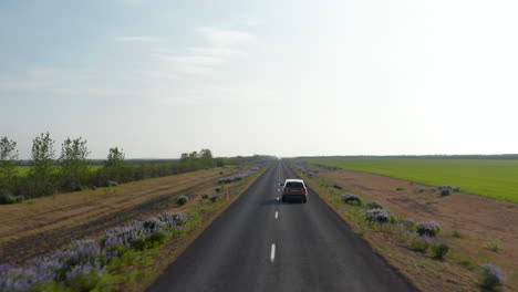 Birds-eye-tracking-car-driving-on-Ring-road,-most-important-highway-in-Iceland.-Drone-view-showing-amazing-and-breathtaking-panorama-of-surreal-icelandic-countryside