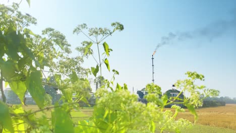 countryside rural area near industy, flare stack burning releasing co2, static