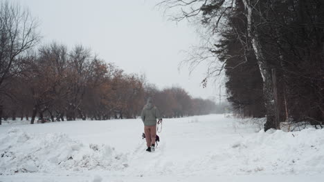 woman walking whippet on snowy path through wintry park lined with bare trees and distant cars, holding red leash, dressed in winter clothing, evoking solitude, seasonal atmosphere, and quiet companionship