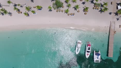 Aerial-top-down,-tourist,-boats-and-wooden-deck-on-tropical-sand-beach,-catalina