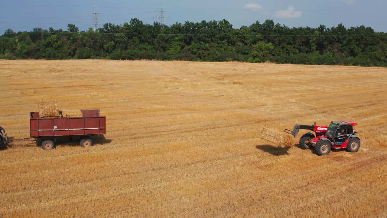 Tractor goes by the field followed by the loader carrying hay bale. Agricultural technique picking straw after harvesting wheat grain.