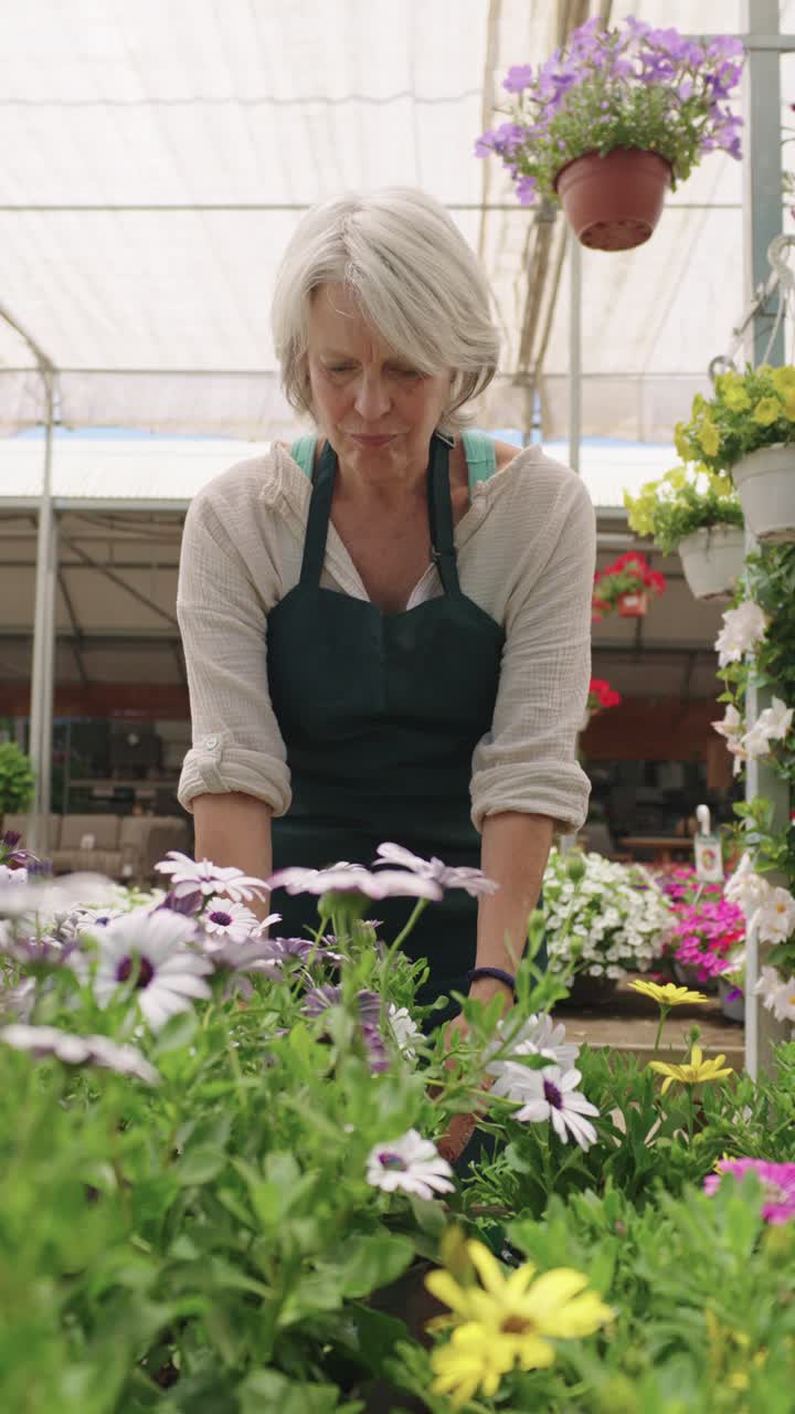 Senior Woman Gardening in Greenhouse