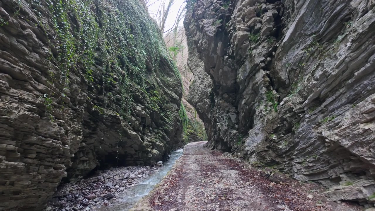 Driselpoh-Schlucht bei Podbrdo, Slowenien, mit einem klaren Gebirgsbach, der im Winter zwischen moosbewachsenen Felsformationen und bewaldeten Klippen in den Julischen Alpen fließt