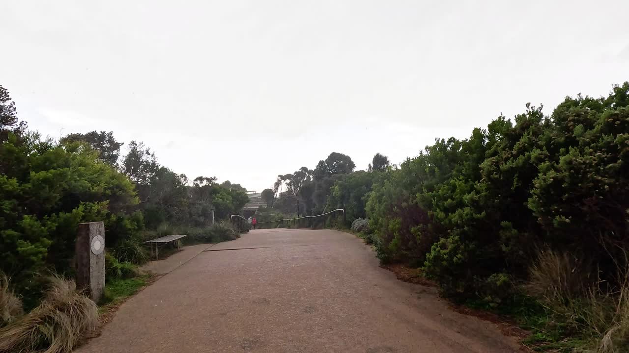 울창한 초록색과 경치 좋은 풍경을 가로질러 가는 길