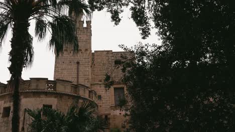 Steady-camera-shot-of-windy-palms-and-other-trees-in-a-botanical-garden