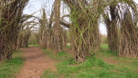 4k close up on the willow cathedral sculpture in taunton somerset with no leafs