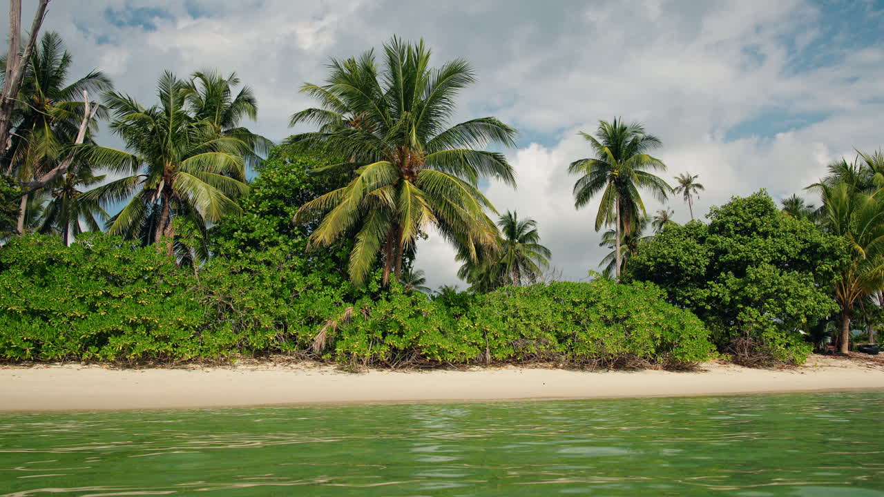 playa tropical con palmeras