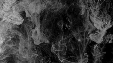 smoke on black background. black and white abstraction.