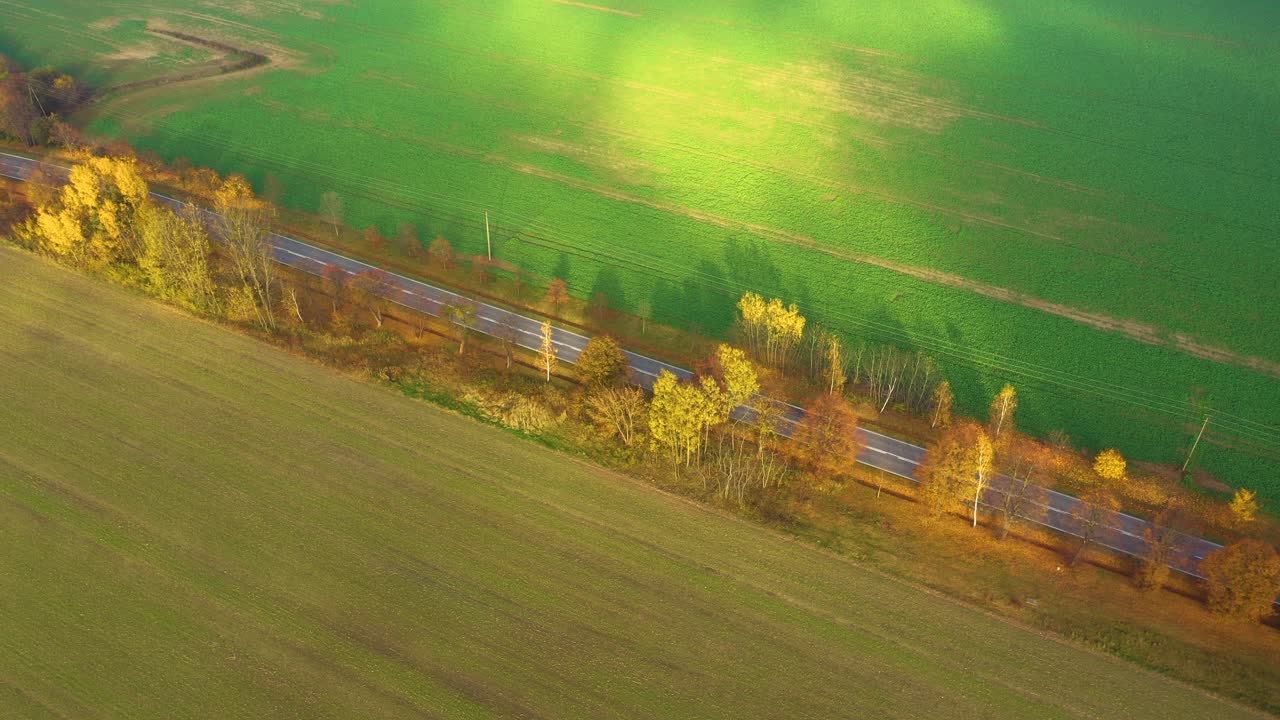 Aerial view of road in beautiful autumn forest at sunset in rural. Beautiful landscape with rural road and trees with colorful leaves