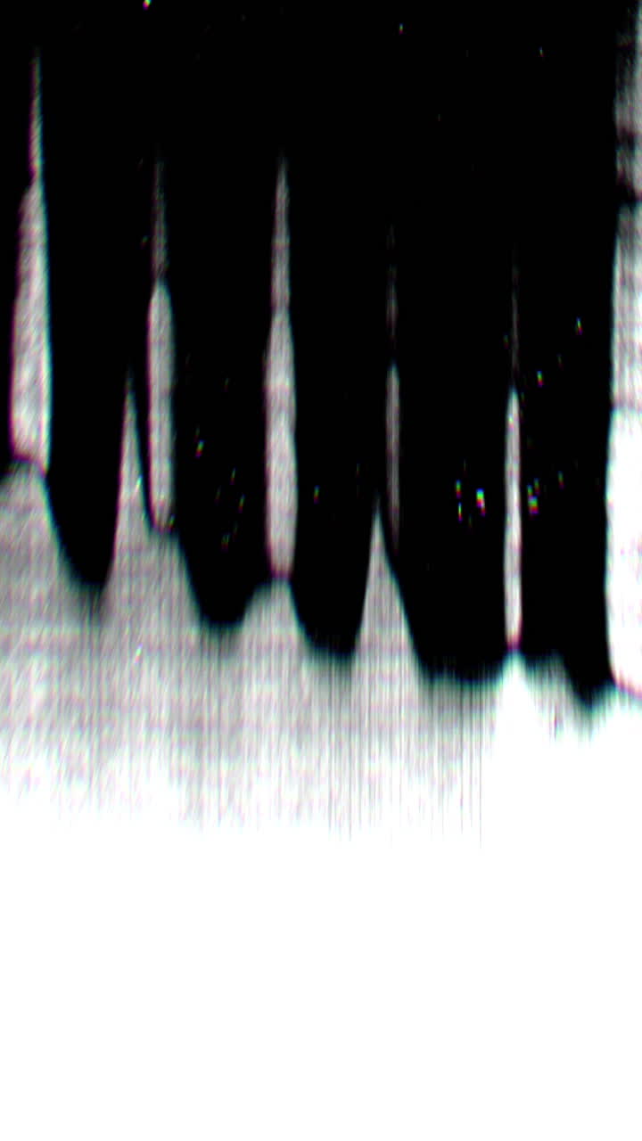 Distorsione Glitch dello Schermo Dinamica in Bianco e Nero.