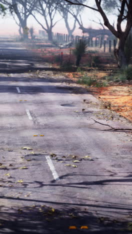 empty road through a burnt outback