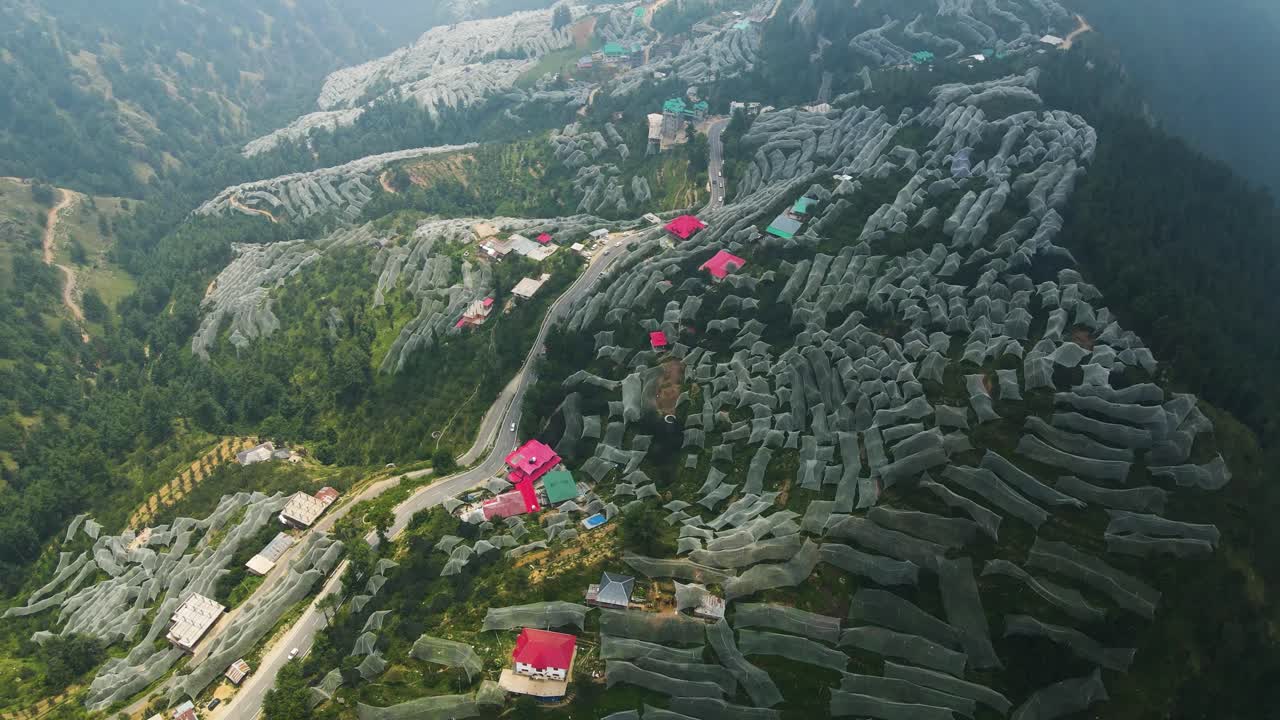 Aerial Drone shot of apple farms in Himachal Pradesh.